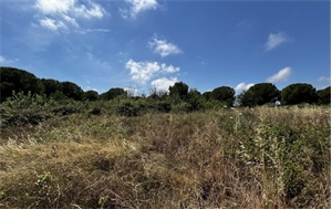 terrain de loisirs à la vente -   34340  MARSEILLAN, surface 1248 m2 vente terrain de loisirs - UBI476440364